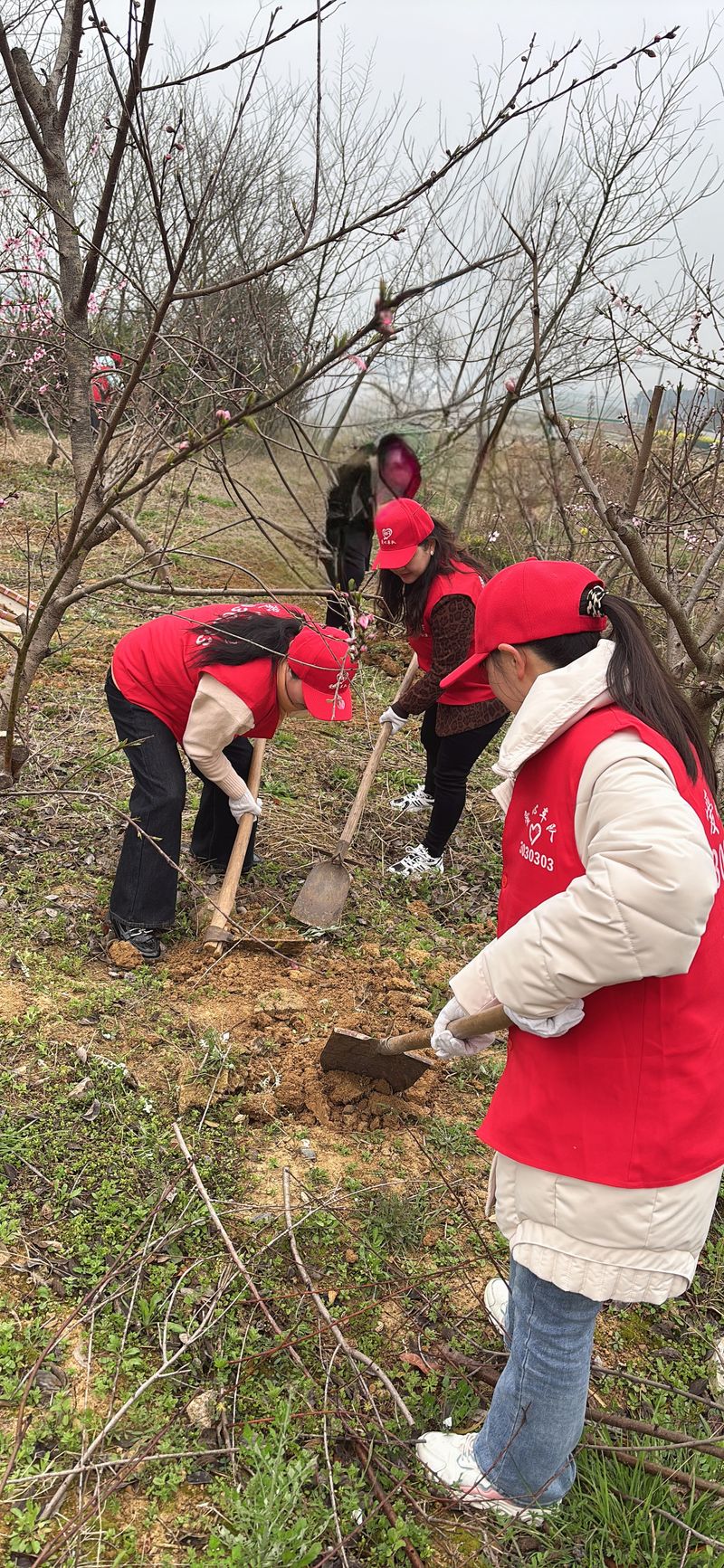 民革党员王静志愿参加植树造林活动